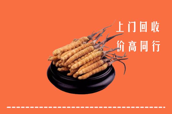 高价求购：攀枝花市东区回收散虫草