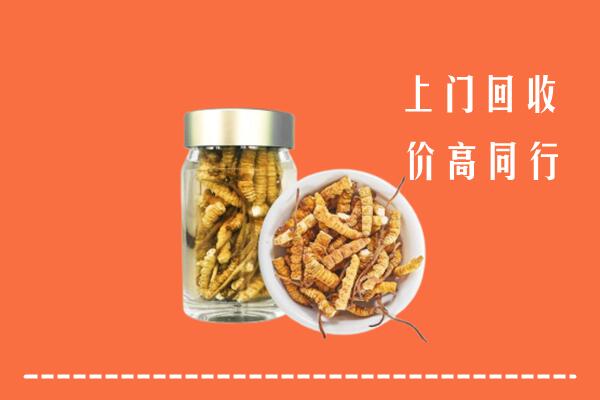 攀枝花市东区回收冬虫夏草
