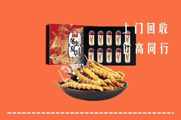 收购行情：攀枝花市东区回收虫草